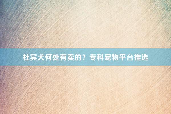 杜宾犬何处有卖的？专科宠物平台推选