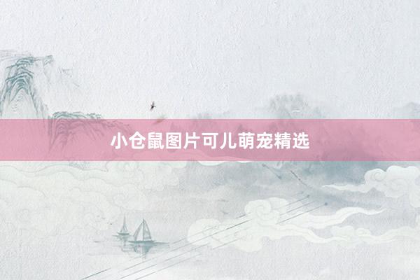 小仓鼠图片可儿萌宠精选